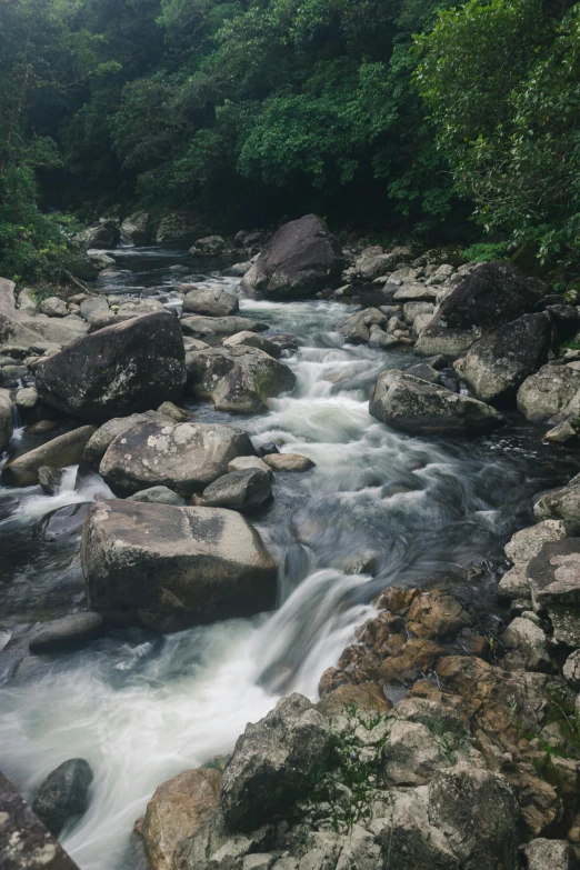 a river running through a lush green forest, sumatraism, with lots of dark grey rocks, white water, boulders, 2 0 yo