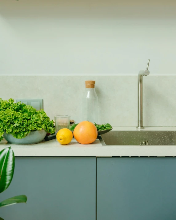 a kitchen sink sitting under a faucet next to a potted plant, a still life, pexels contest winner, fruits, background image, cupboards, blue and grey theme