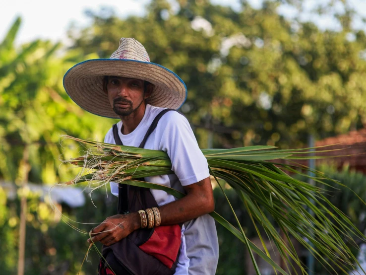 a man in a straw hat carries a bundle of grass, a portrait, pexels contest winner, in marijuanas gardens, avatar image, thumbnail