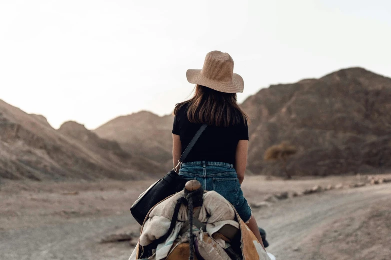 a woman riding on the back of a brown horse, trending on pexels, visual art, wearing a travel hat, hiking clothes, girl with brown hair, back