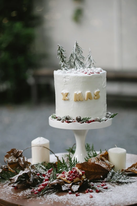 a white cake sitting on top of a wooden table, inspired by Emma Ríos, in a snowy forest setting, hidden message, zinc white, festive