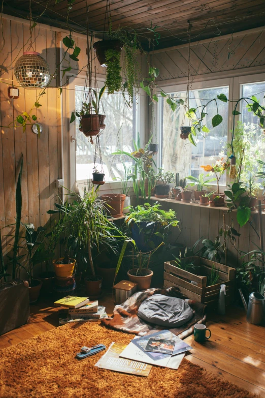 a living room filled with lots of potted plants, a photo, inspired by Elsa Bleda, trending on unsplash, taken in the late 1980s, cozy room, studio floor, small hipster coffee shop