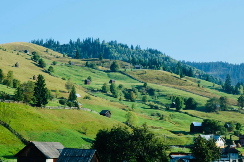 a herd of sheep grazing on top of a lush green hillside, by Julia Pishtar, pexels contest winner, log houses built on hills, southern slav features, slide show, panoramic view