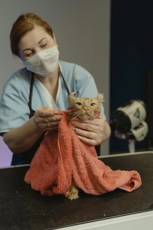 a woman in a medical mask holding a cat, wearing a towel, from 8 k matte, behind the scenes, 8 k film still