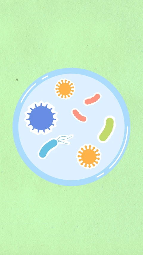 a plate with different types of germils on it, an illustration of, by Rachel Reckitt, trending on unsplash, bacteria, on clear background, square, emergency