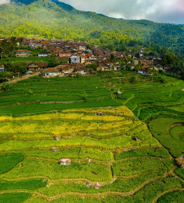 an aerial view of a village in the mountains, pexels contest winner, sumatraism, green and yellow, square, today\'s featured photograph 4k, morning light