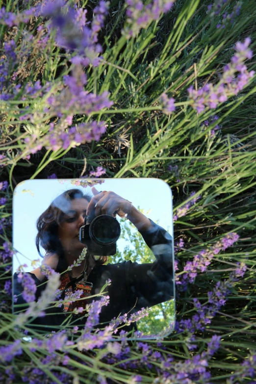 a person taking a picture of themselves in a mirror, a picture, inspired by Henriette Grindat, land art, lavender flowers, profile picture, low quality photo, outdoor photo