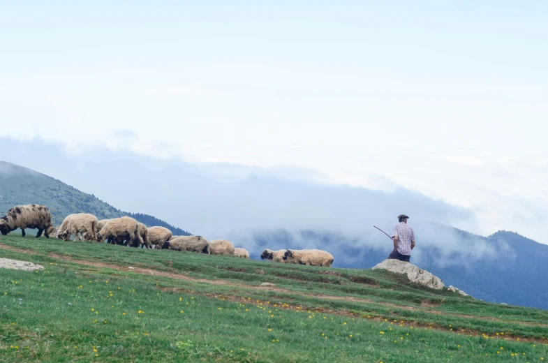 a herd of sheep standing on top of a lush green hillside, by Lucia Peka, pexels contest winner, an arab standing watching over, avatar image, standing on a cloud, conde nast traveler photo