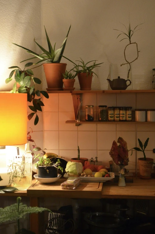 a wooden table topped with lots of potted plants, a still life, unsplash, yellow lighting from right, kitchen, kreuzberg, orange lamp