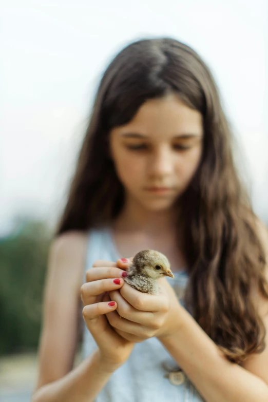 a little girl holding a small bird in her hands, multiple stories, organic, avatar image, subject= duck