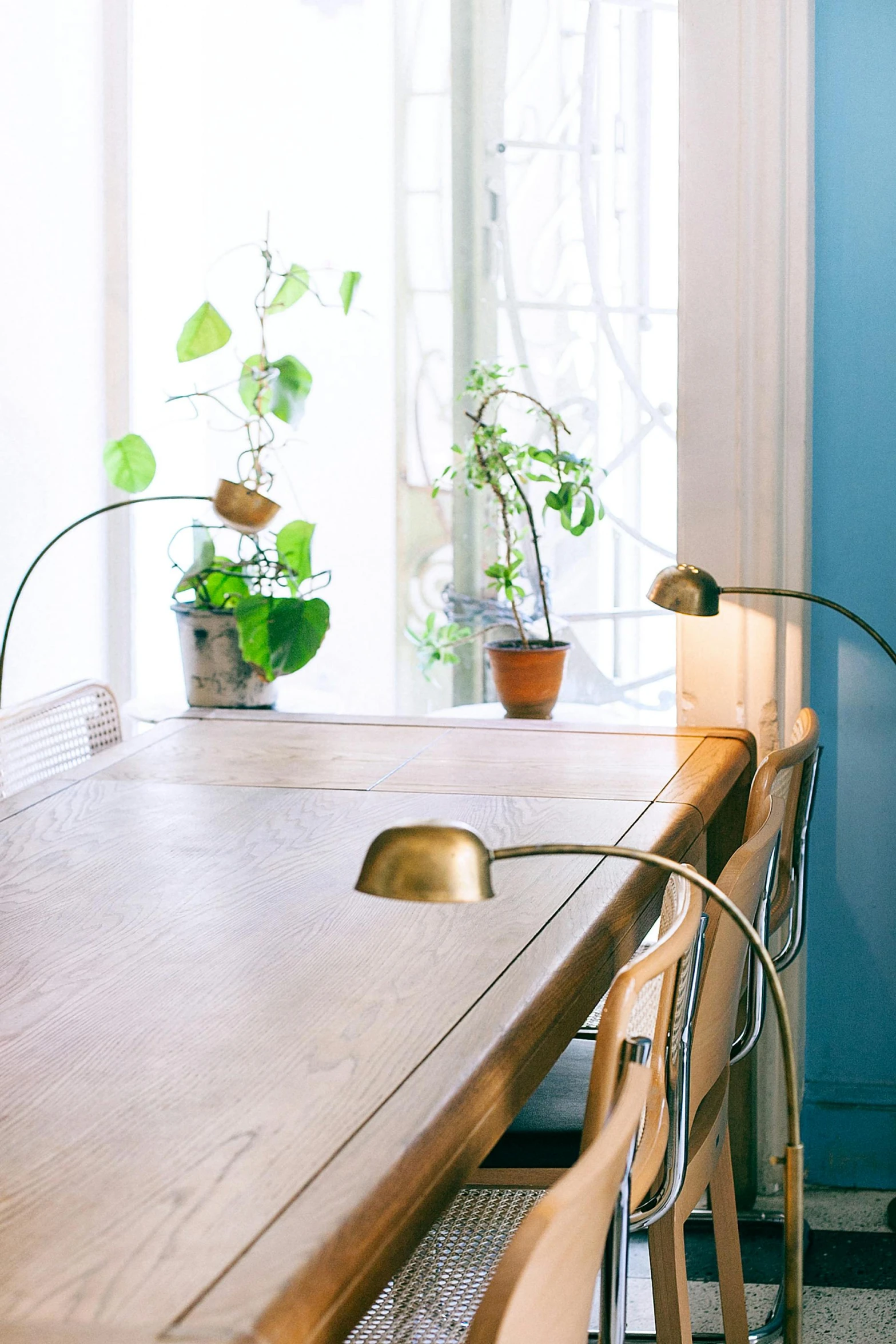 a wooden table topped with chairs next to a window, by Constantin Hansen, trending on unsplash, light and space, clamp shell lighting, potted plants, blue light, soft green lighting