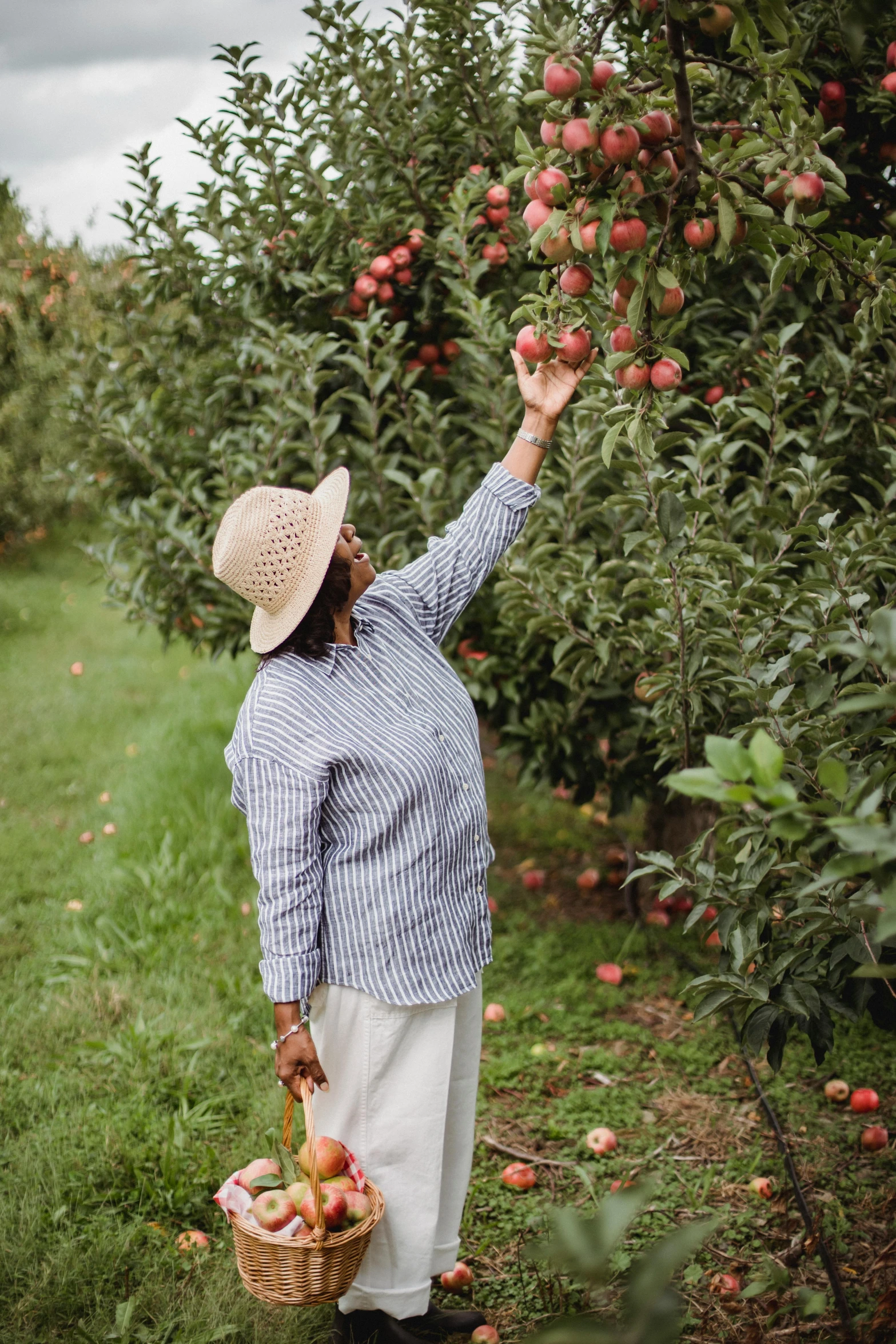 a woman picking apples from a tree in an orchard, unsplash, 2 5 6 x 2 5 6 pixels, wearing a linen shirt, rhode island, tomato hat and a walking stick