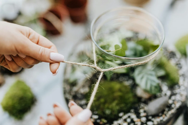 a close up of a person tying a string around a plant, terrarium, crafts and more, indi creates, professional shot