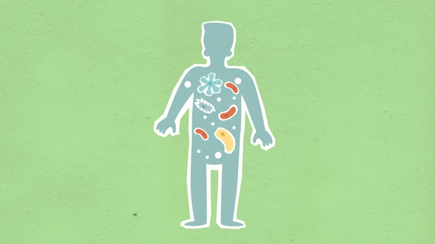 a man with food all over his body, an illustration of, cell biology, full body hero, micro - organisms, illustration »