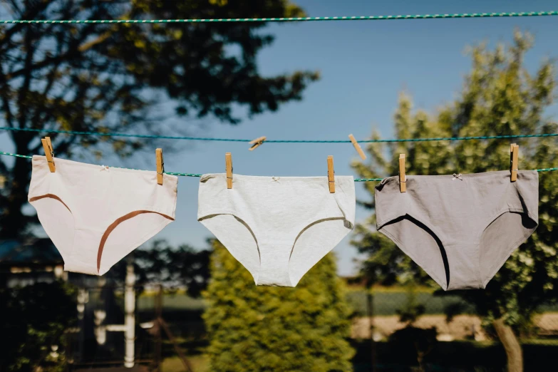 a line of underwear hanging on a clothes line, unsplash, three colors, in the yard, light grey, jen atkin