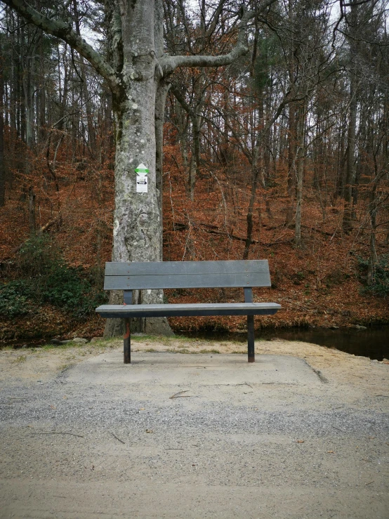 a park bench sitting in front of a tree, in the middle of the woods, completely empty, on display, overview