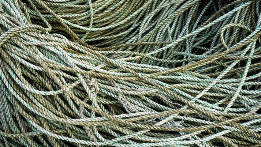 a pile of rope sitting on top of a wooden floor, inspired by Patrick Dougherty, unsplash, net art, seafoam green, fishing, salmon, beautiful lines