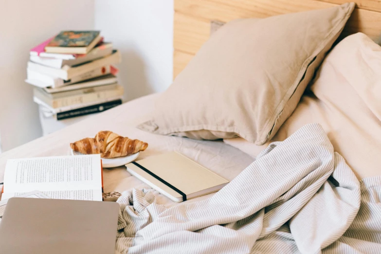 a laptop computer sitting on top of a bed, a still life, trending on pexels, light beige pillows, open books, snacks, wearing a grey robe