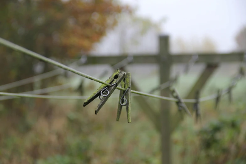 a bunch of clothes hanging on a clothes line, by Julian Hatton, land art, ultra detailed wire decoration, misty morning, medium close up, tracks of barbed wire