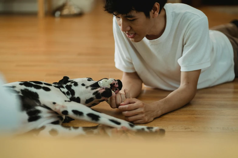 a man playing with a dalmatian dog on the floor, pexels contest winner, south korean male, thumbnail, ad image, calmly conversing 8k