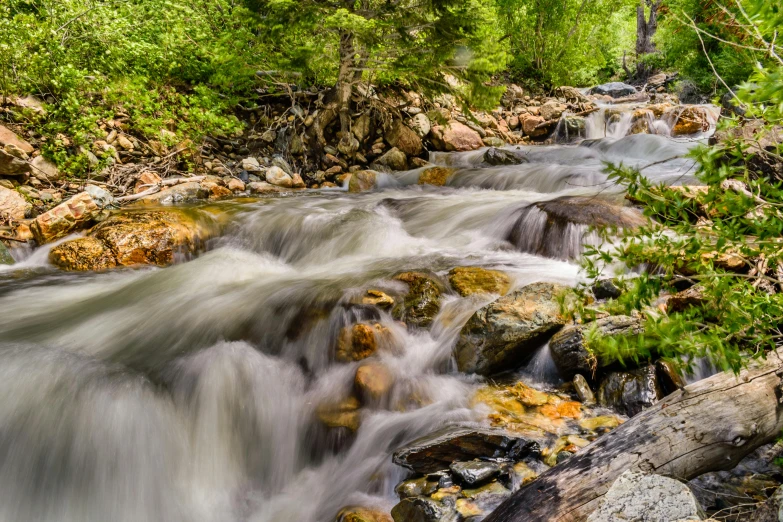 a stream running through a lush green forest, a picture, by Arnie Swekel, pexels contest winner, wyoming, 2 5 6 x 2 5 6 pixels, rushing water, panoramic