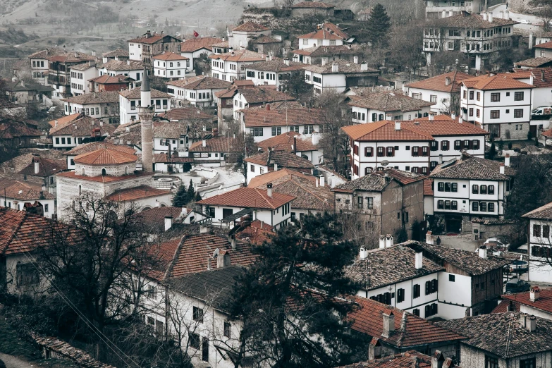 a group of houses sitting on top of a hill, by Emma Andijewska, pexels contest winner, renaissance, square, white, byzantine, 70s photo