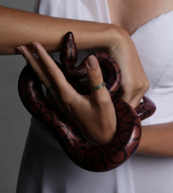 a woman in a white dress holding a snake, by Nina Hamnett, trending on pexels, hyperrealism, hand model, crimson themed, ying and yang, ( ultra realistic