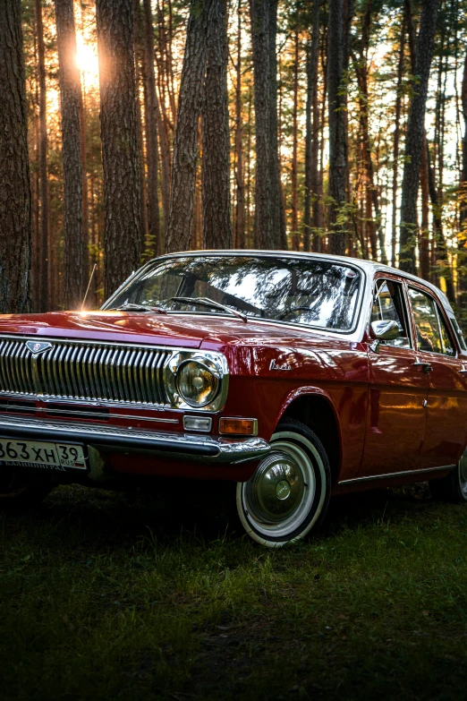 a red car is parked in the woods, soviet style, looking regal and classic, late summer evening, profile image