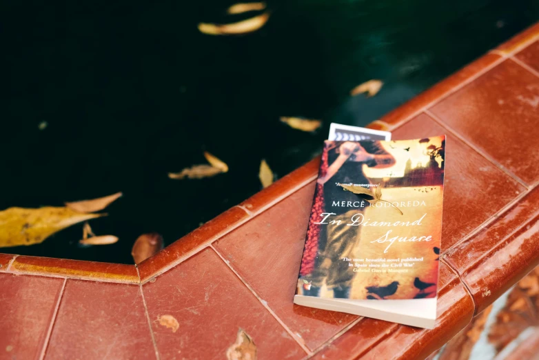 a book sitting on top of a table next to a pool, by Julia Pishtar, burnt sienna and venetian red, romantic lead, kyoto inspired, tlaquepaque