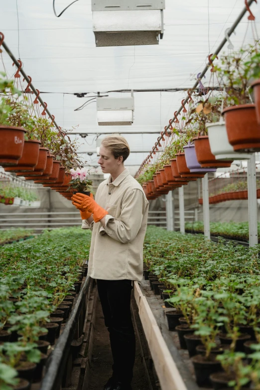 a woman holding a bunch of plants in a greenhouse, an album cover, by Andries Stock, trending on unsplash, renaissance, blonde man, inspect in inventory image, orange plants, carrying a tray