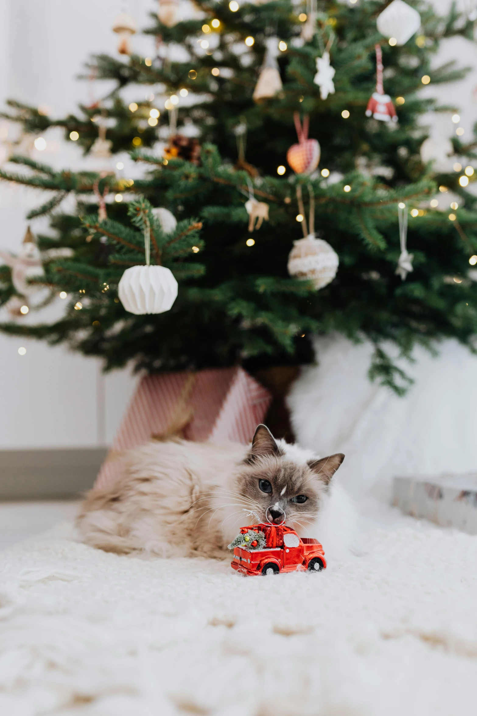 a cat laying on the floor next to a christmas tree, a picture, by Julia Pishtar, pexels contest winner, mini model, a car, gif, toy photo