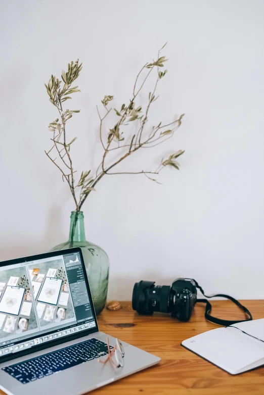 a laptop computer sitting on top of a wooden desk, a picture, trending on pexels, art photography, dslr photo of a vase on a table, in a white boho style studio, holding a camera, plants in glass vase