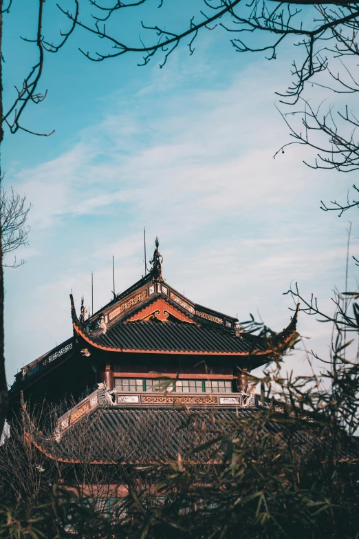 a tall building sitting on top of a lush green field, inspired by An Zhengwen, trending on unsplash, a temple, winter, vintage aesthetic, rooftop