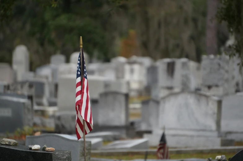 an american flag is in the foreground of a cemetery, a portrait, ignant, in savannah, profile image, journalism photo