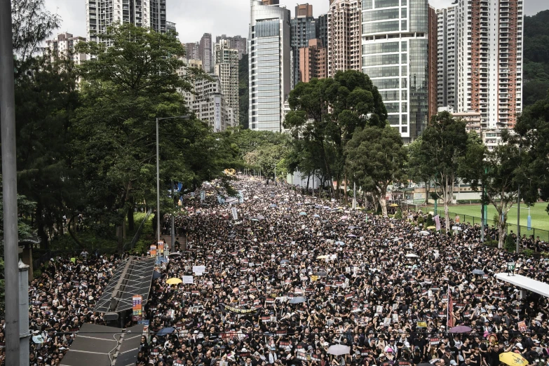 a large crowd of people walking down a street, by Benjamin Block, trending on unsplash, hurufiyya, hong kong, protest, avatar image, panels