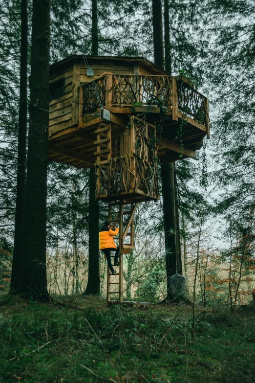 a tree house in the middle of a forest, inspired by Mike Winkelmann, unsplash contest winner, renaissance, full body view, belgium, medium long shot, yellow