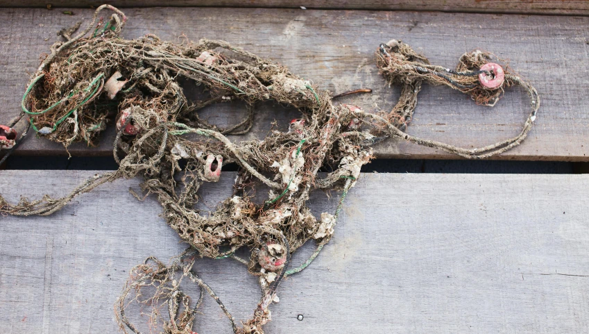 a bunch of dirt sitting on top of a wooden table, inspired by Patrick Dougherty, unsplash, plasticien, covered in coral and barnacles, wiring, vine twist, detailed hot maw