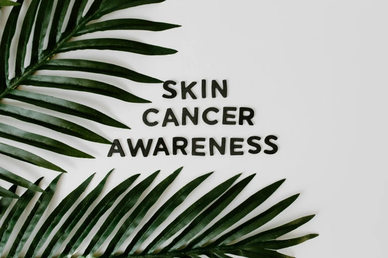 a palm leaf with the words skin cancer awareness written on it, by Emma Andijewska, trending on pexels, photoshoot for skincare brand, avatar image, ( 3 1
