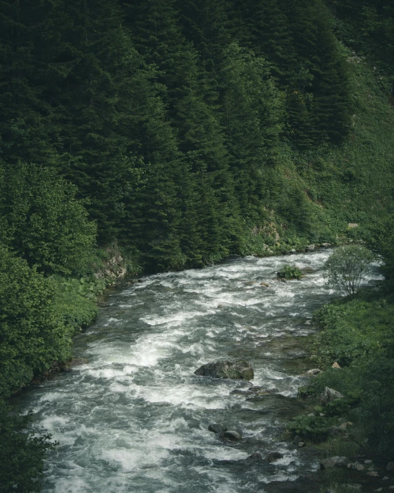 a river running through a lush green forest, an album cover, pexels contest winner, hurufiyya, valley, turbulent water, high quality image”