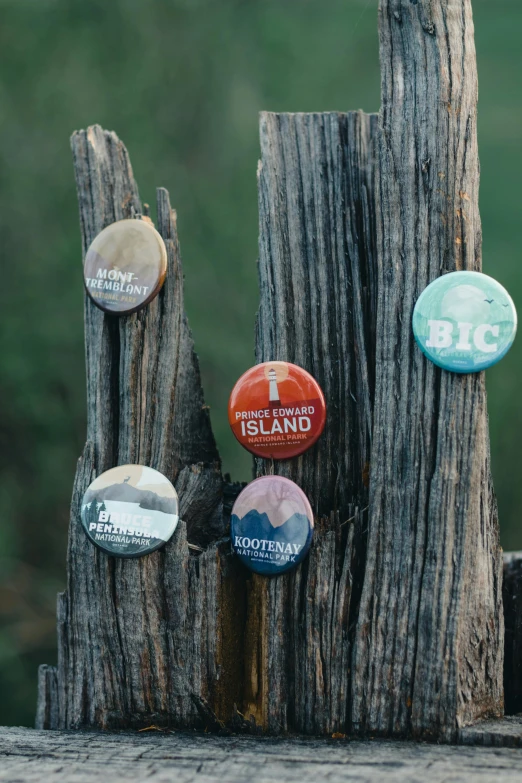 a group of rocks sitting on top of a piece of wood, badge, buttons, environmental shot, full product shot