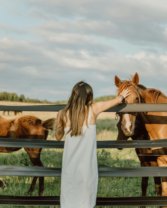 a little girl petting a horse behind a fence, by Morgan Russell, pexels contest winner, romanticism, panoramic view of girl, horses, overlooking, majestic horses