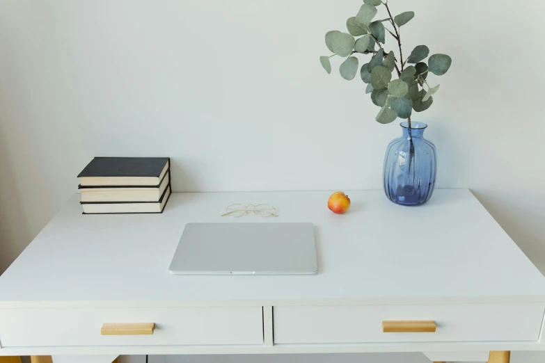 a laptop computer sitting on top of a white desk, inspired by Euan Uglow, light grey blue and golden, golden apple, minimal kitchen, overhanging branches