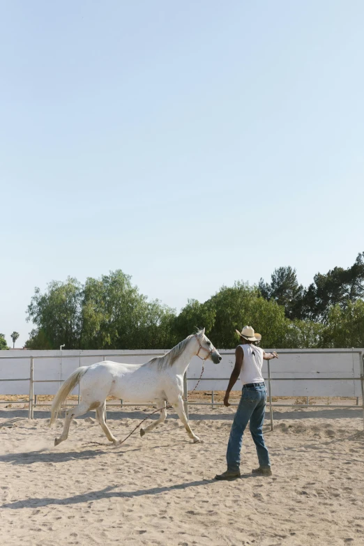 a man riding on the back of a white horse, unsplash, arabesque, california;, b - roll, in the yard, al - qadim