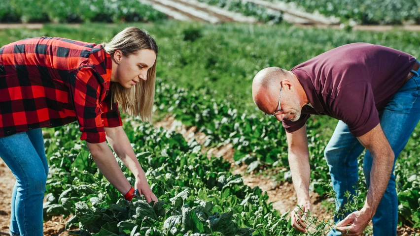 a couple of men standing next to each other in a field, by Daniel Schultz, pexels contest winner, confident holding vegetables, avatar image, people at work, woman