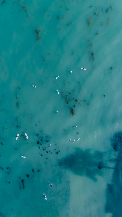 a large body of water with a boat in it, by Robbie Trevino, unsplash contest winner, helicopter view, standing on surfboards, 15081959 21121991 01012000 4k, ocean sprites