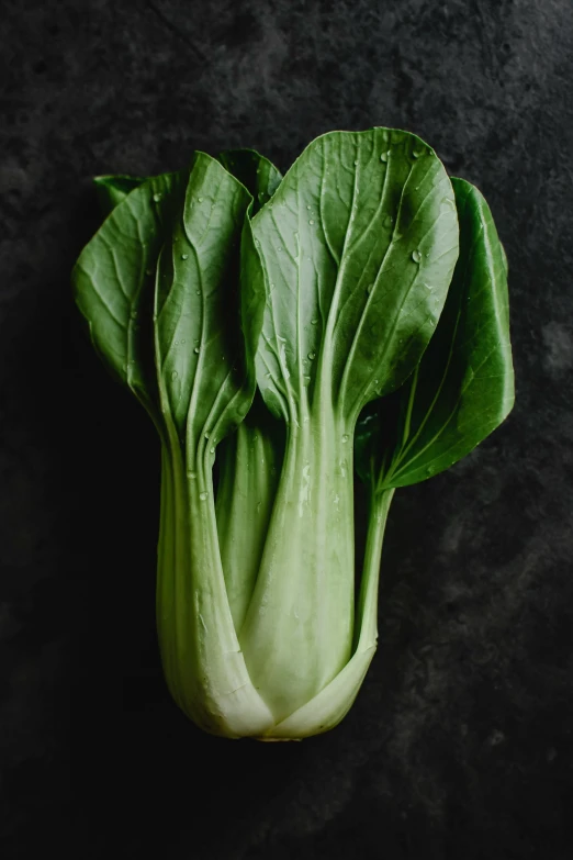 a close up of a leafy vegetable on a table, a picture, inspired by Li Di, unsplash, renaissance, on a gray background, edible, large tall, howard pak