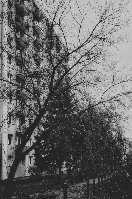 a black and white photo of a clock tower, inspired by André Kertész, unsplash contest winner, brutalism, next to a tree, soviet apartment buildings, low quality photo, street of moscow