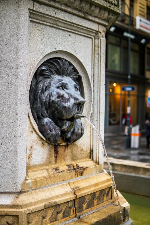 a statue of a lion drinking water from a fountain, by Adam Szentpétery, trending on unsplash, street art, photo of zurich, made of water, brown, head in frame