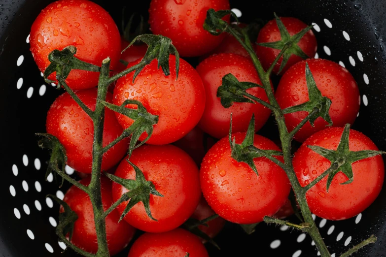 a close up of a bowl of tomatoes, by Tom Wänerstrand, unsplash, fan favorite, berries inside structure, taken with sony alpha 9, bottom view