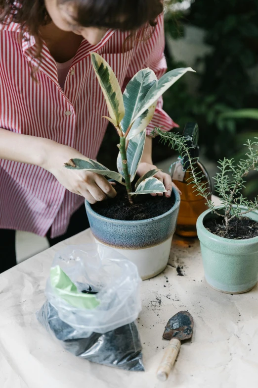 a woman holding a potted plant on top of a table, a still life, inspired by Ruth Jên, trending on unsplash, marbled veins, pulling weeds out frantically, plant sap, garden setting